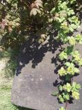 image of grave number 452952